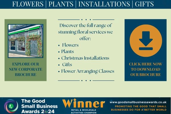 Corporate Flowers and Plants Brochure